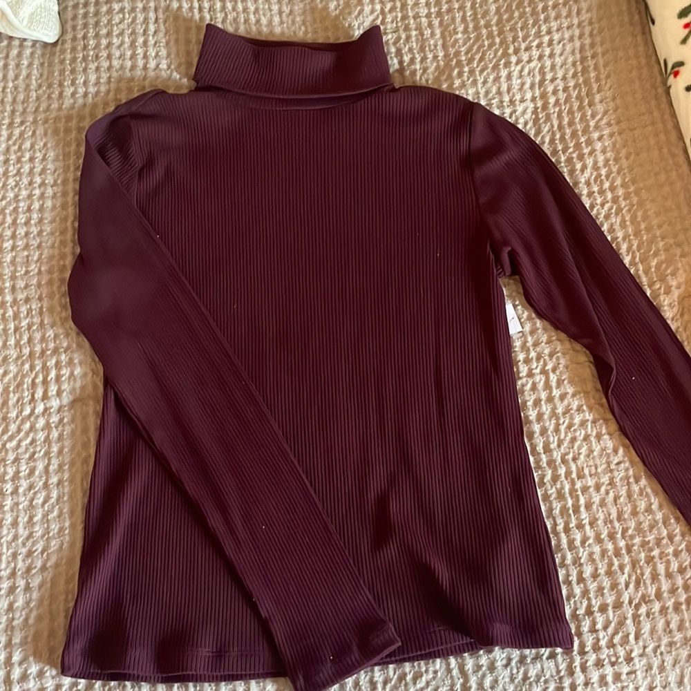 Burgundy Turtleneck from Old Navy